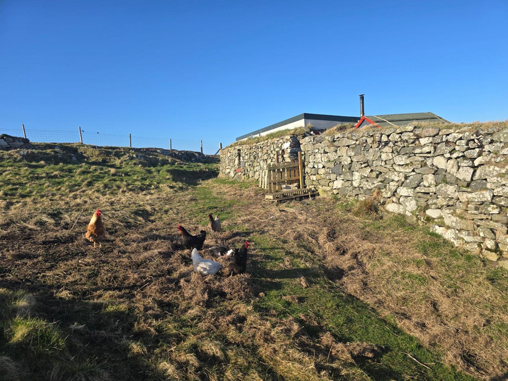 Squealing Pig Bothy Villa Barvas Eksteriør billede